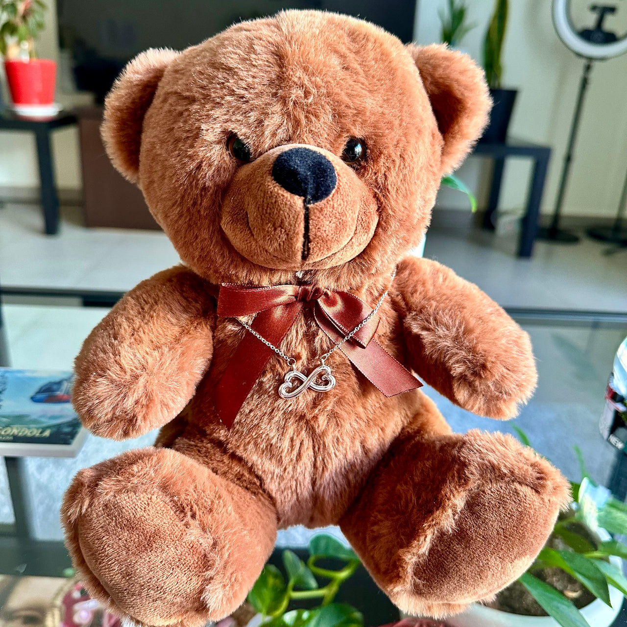 Infinity Hearts Necklace - IHN01